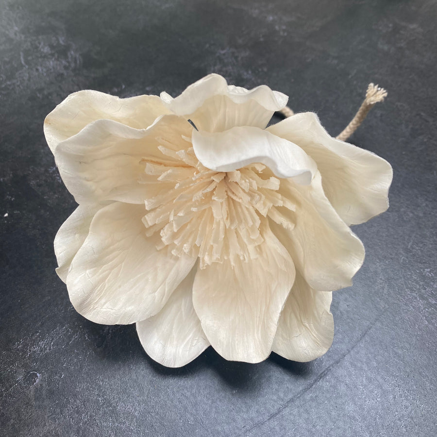 DIFFUSER FLOWERS | MEDIUM 8cm