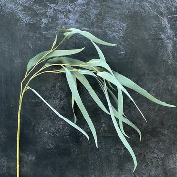 FAUX WILLOW EUCALYPTUS SPRAY
