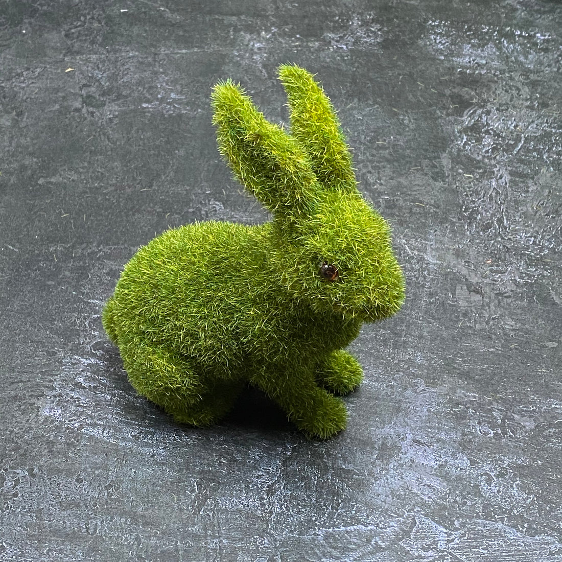 MOSS BUNNY