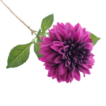 OPERA DAHLIA | PURPLE