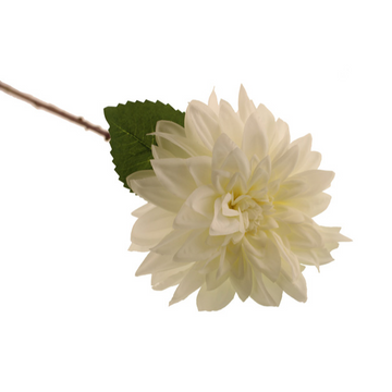 OPERA DAHLIA | WHITE