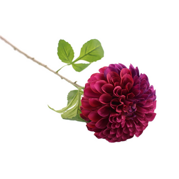 BALL DAHLIA | PURPLE