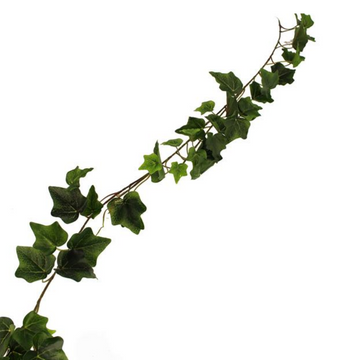 OUTDOOR ENGLISH IVY GARLAND