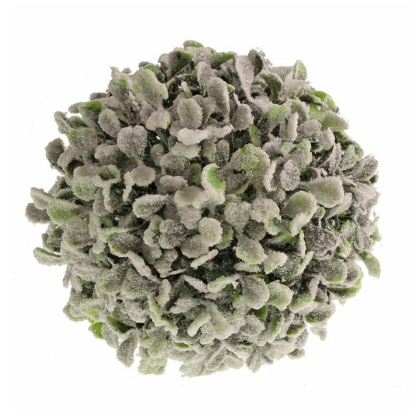 FROSTED BOXWOOD BALL
