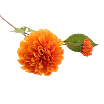 BALL DAHLIA WITH BUD | ORANGE