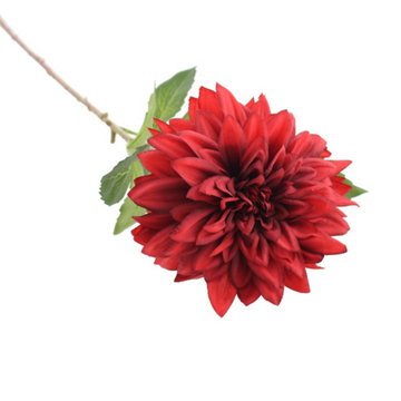 OPERA DAHLIA | RED